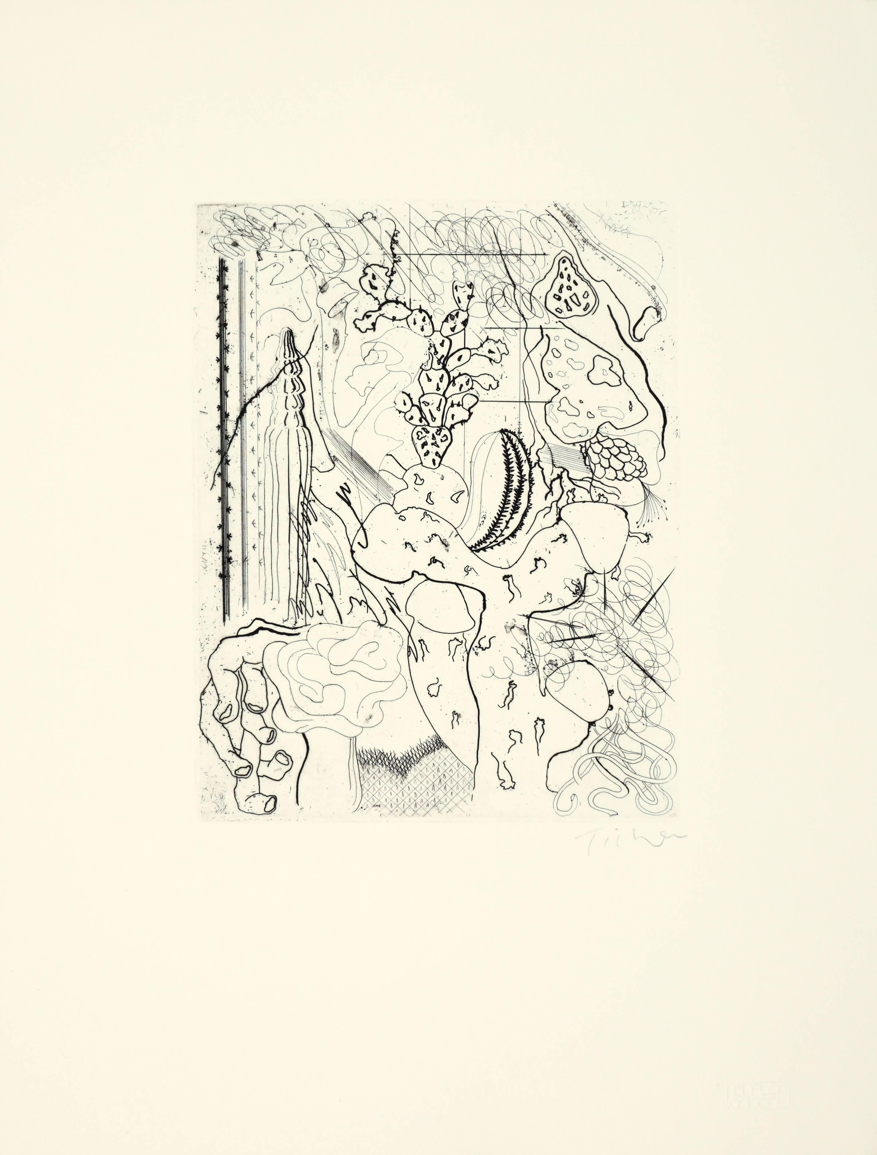 Abstract Print William Tillyer - Certaines fleurs naturelles qui ressemblaient à des faux - Madame Mame / Dickus Sequoia