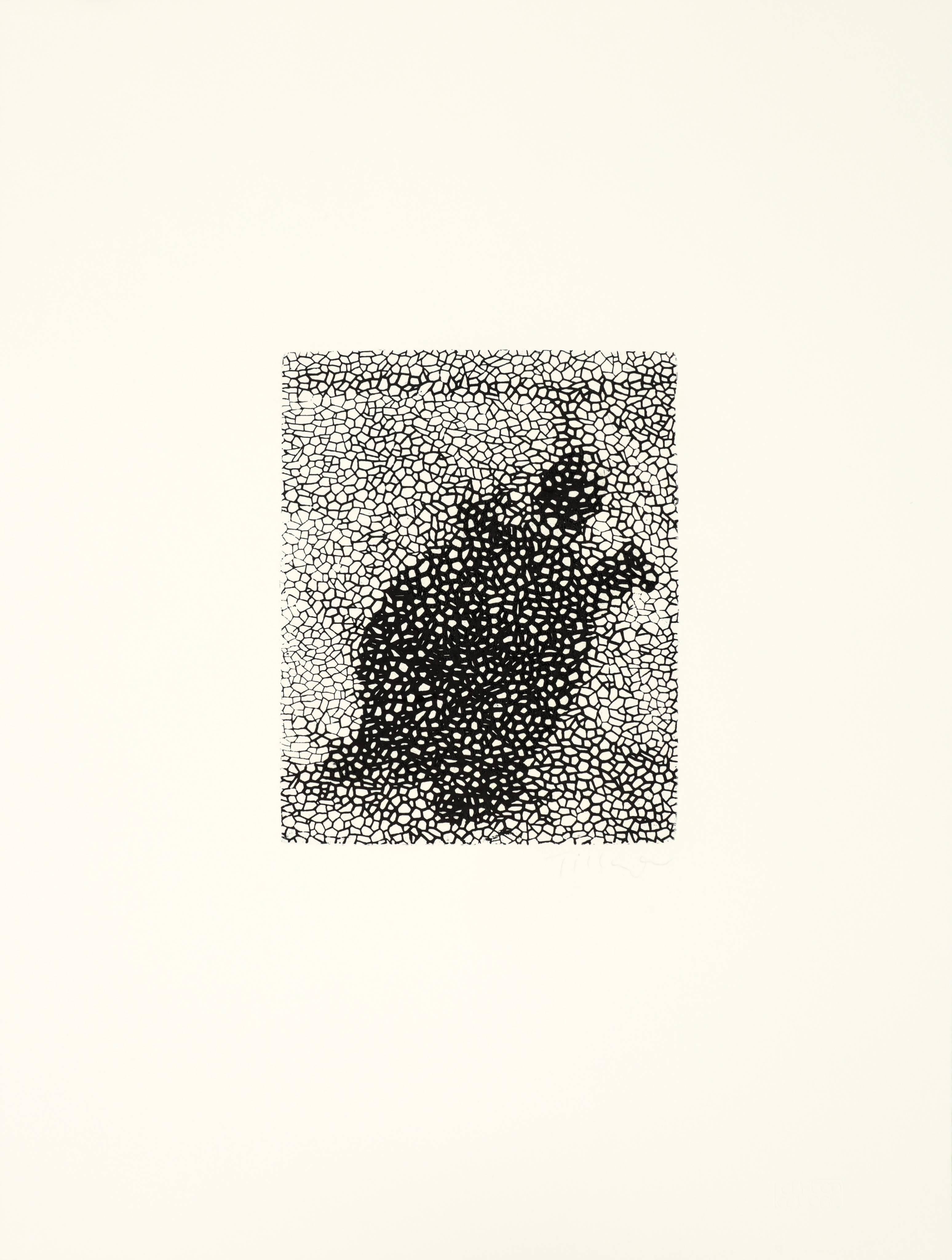 William Tillyer Abstract Print - Chevet's Tortoise