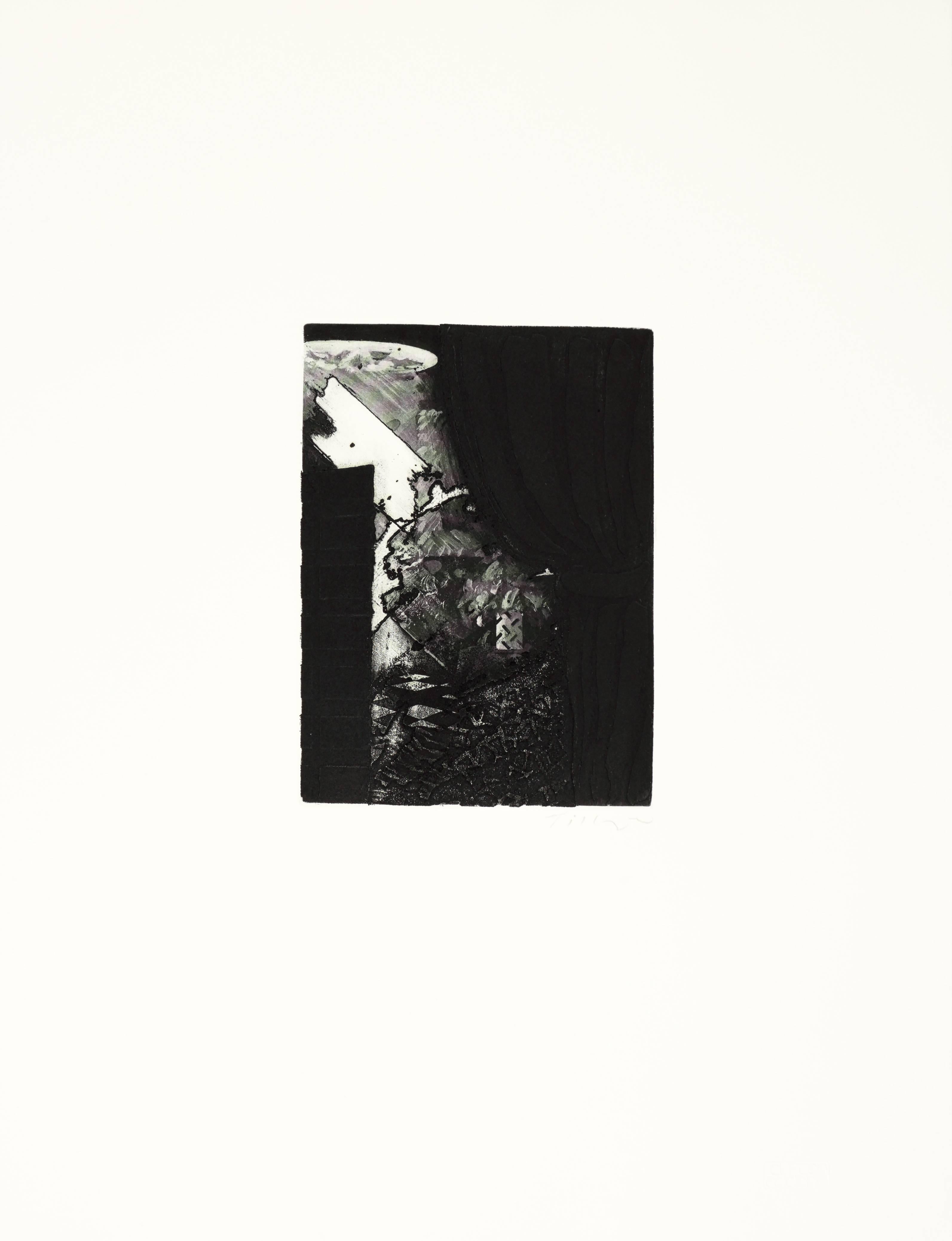 William Tillyer Abstract Print – Inneneinrichtung im Interieur von Fontenay aux Rose mit großer Schildpatt 