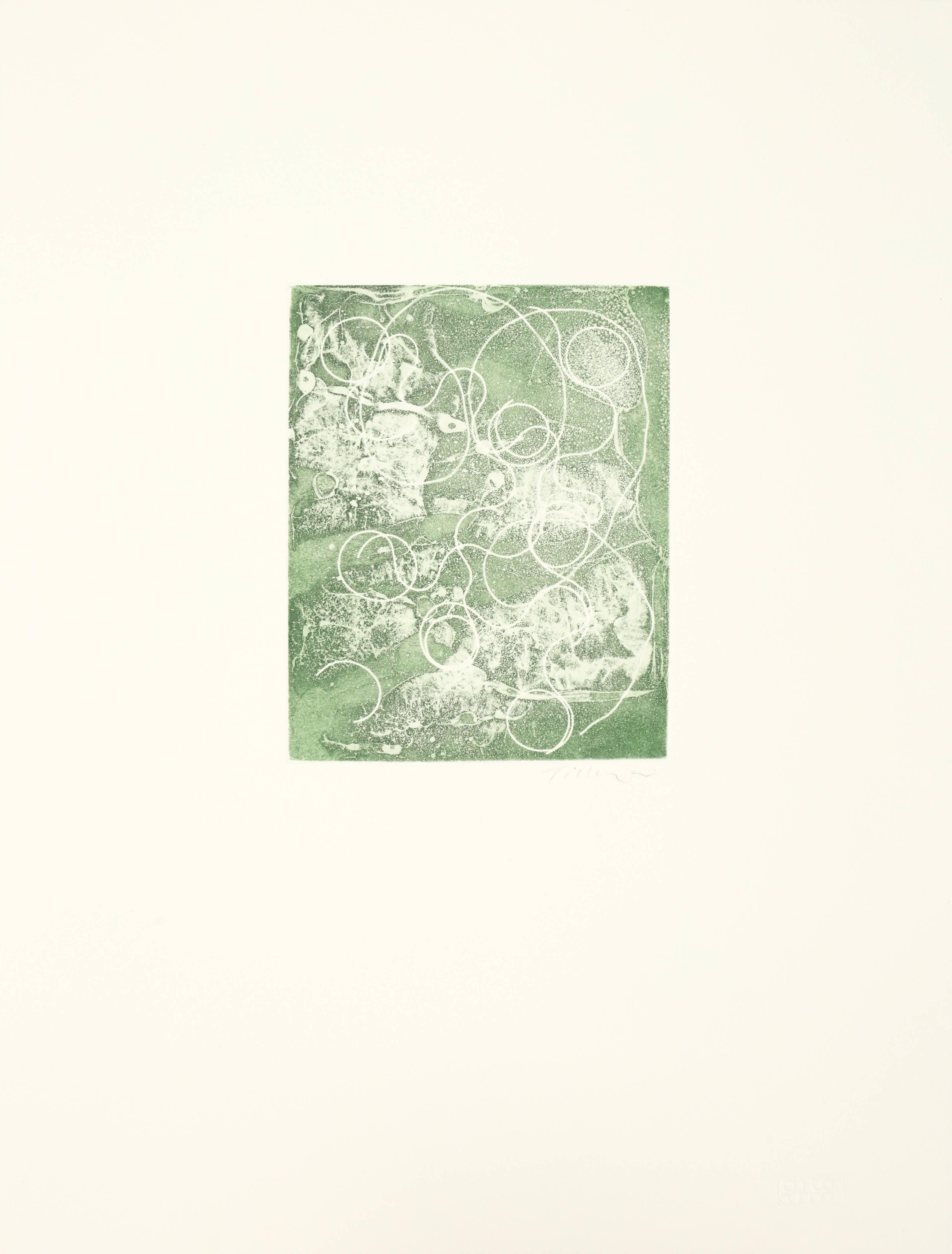 William Tillyer Abstract Print – Ahornblüte als Kontrast zur Ahornblume