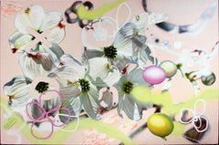Weiße Hartriegelblüten auf rosa Farbverlauf – Öl- und Acrylgemälde auf Leinwand