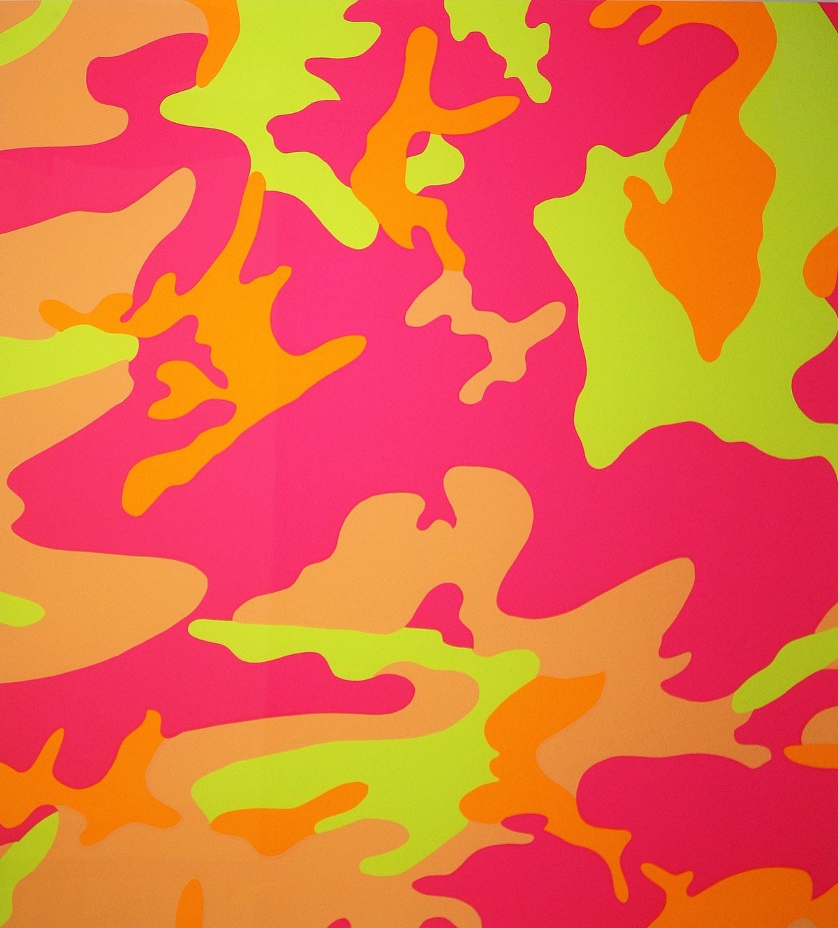 Camouflage (FS II.409) - Print by Andy Warhol