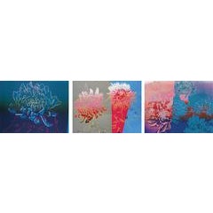 Kiku, Complete Portfolio by Andy Warhol 12