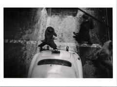 New York City, New York, 1953