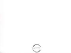 Rice field covered with lotus plants, Tokyo, 1951