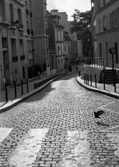 Edition 1/10 - Pigeon Crossing, Paris, France, Silver Gelatin Photograph