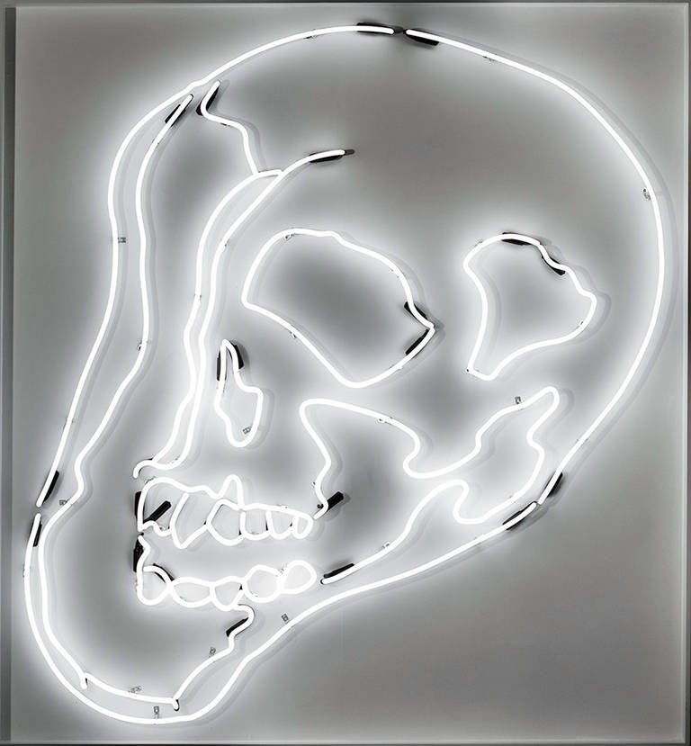 White Skull - Art by Anne-Katrine Senstad