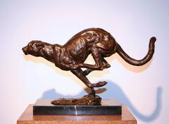 Cheetah