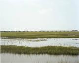 Ohne Titel (VS-15-84), Galveston, TX