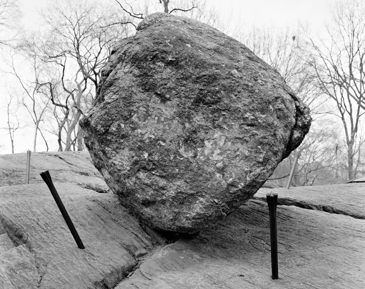 Mitch Epstein Black and White Photograph - Central Park, New York II 2014