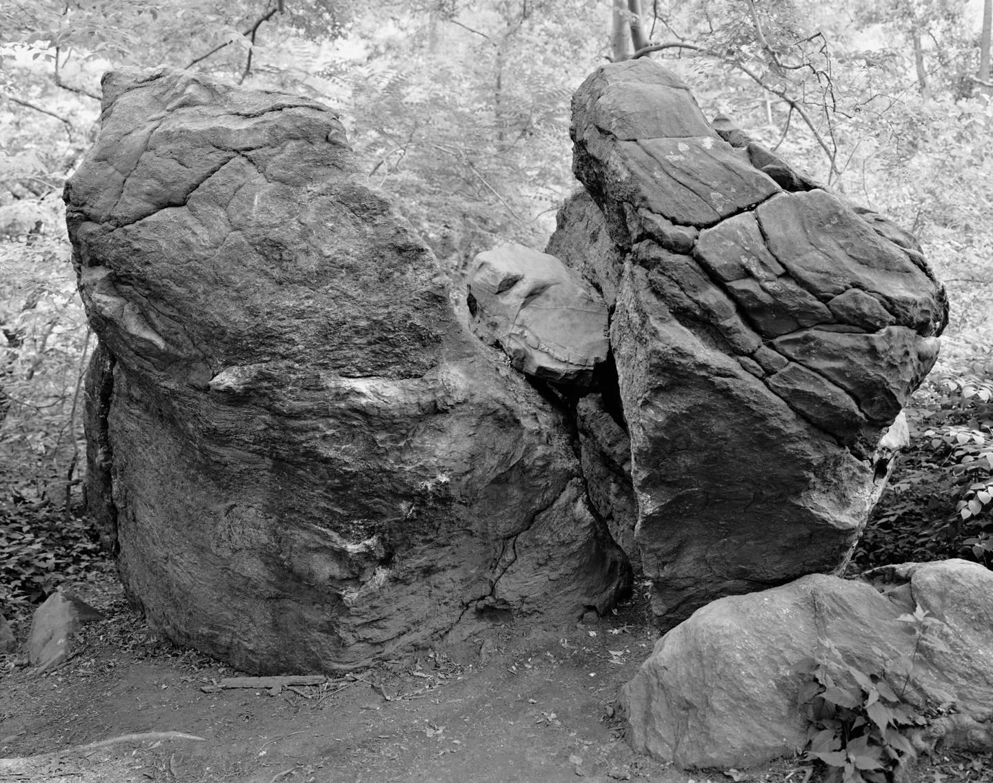 Mitch Epstein Black and White Photograph - Split Rock, The Rambles, Central Park 2014