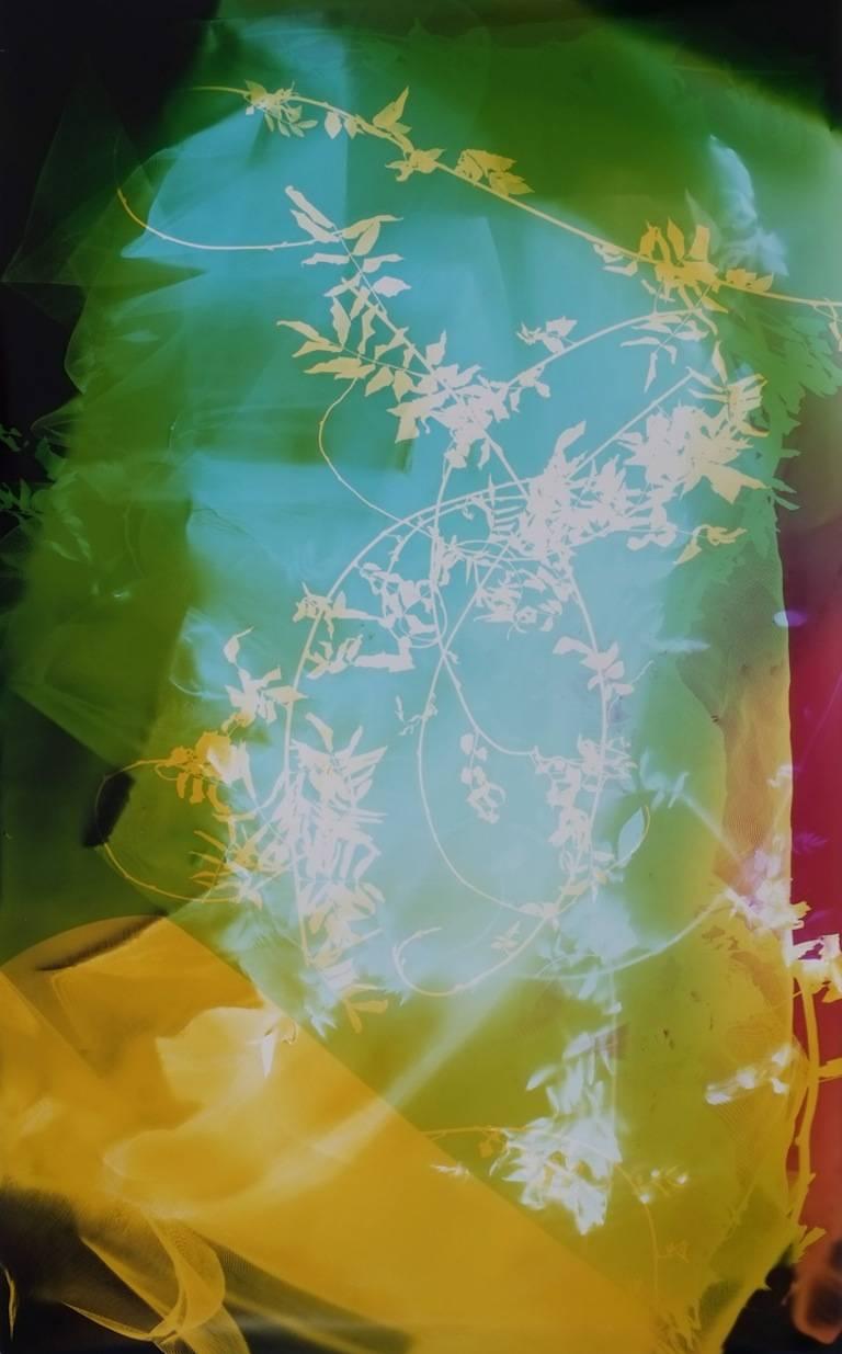 Abstract Photograph di Bryan Graf - Registrazione sul campo (Sun Room IV)