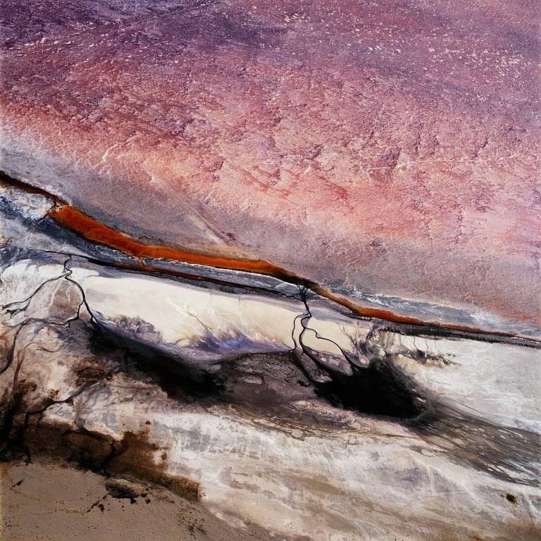David Maisel Color Photograph - The Lake Project 22