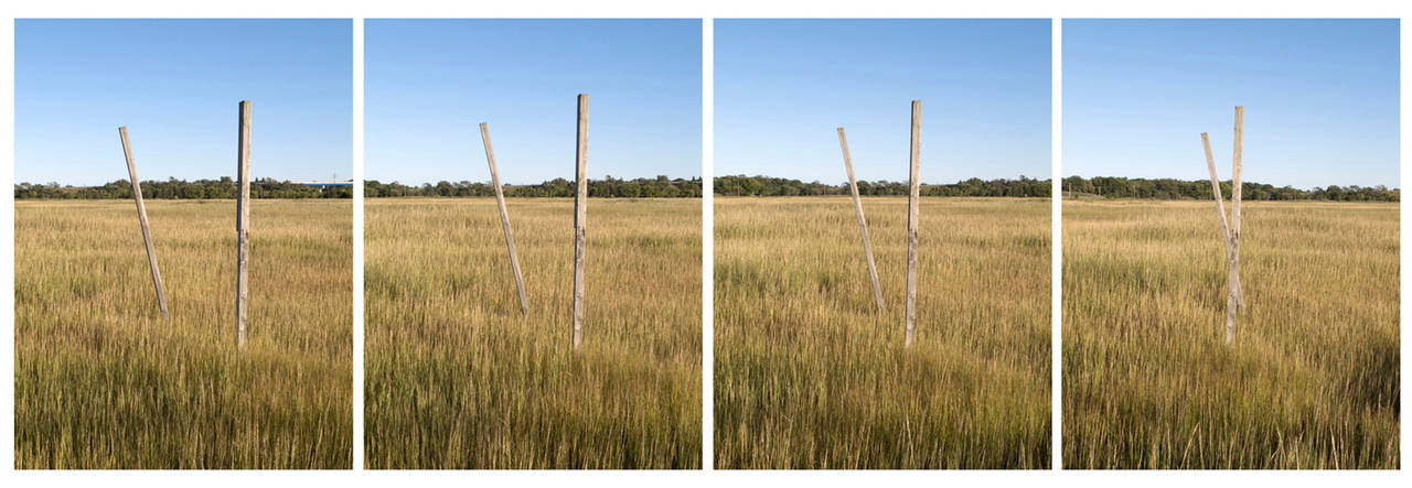 Walking Sticks - Photograph by Matthew Jensen