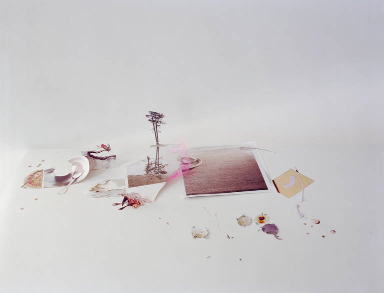 Ohne Titel #40, aus III Form und Void Full – Photograph von Laura Letinsky