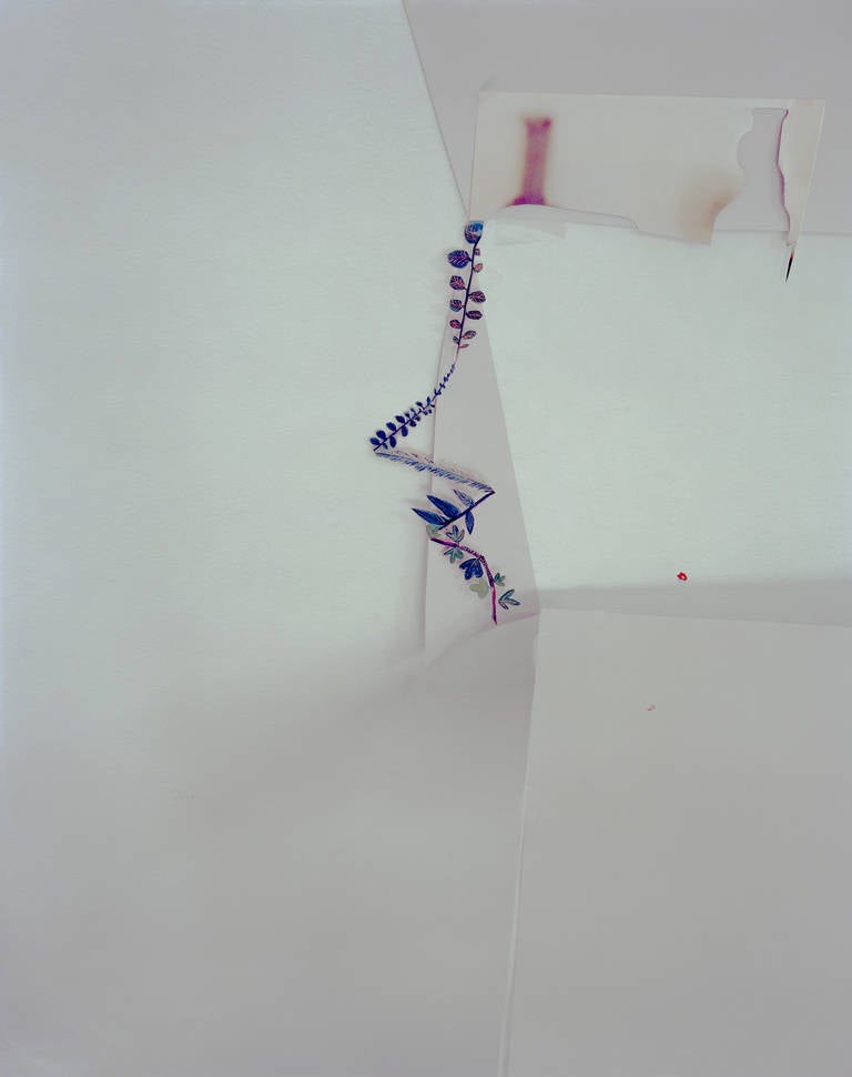 Untitled #47, from III Form and Void Full - Photograph by Laura Letinsky