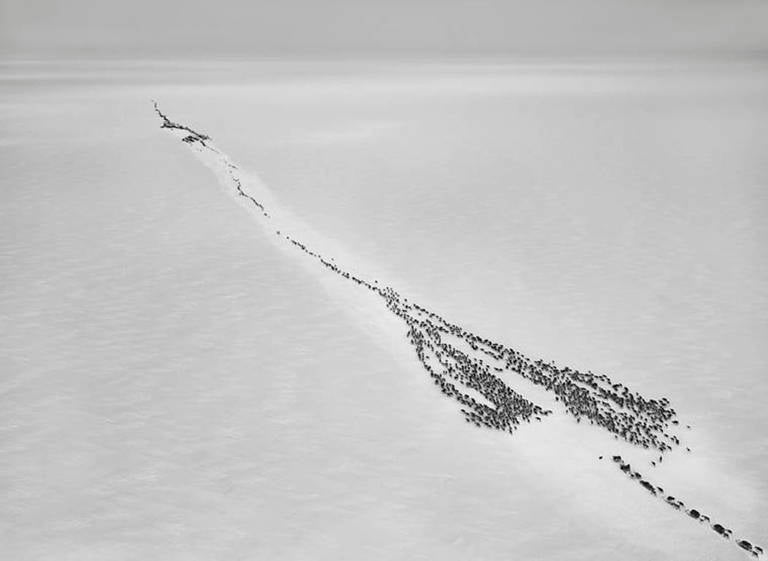 Nenets of the Siberian Arctic, Russia - Photograph by Sebastião Salgado