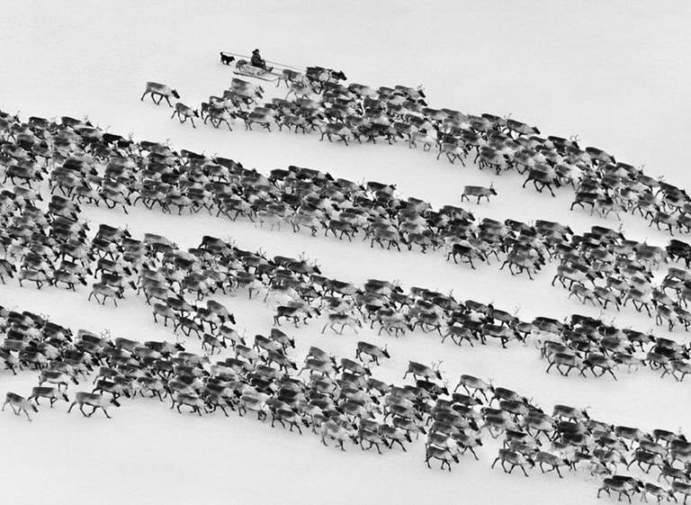 Nenets of the Siberian Arctic, Russia - Photograph by Sebastião Salgado