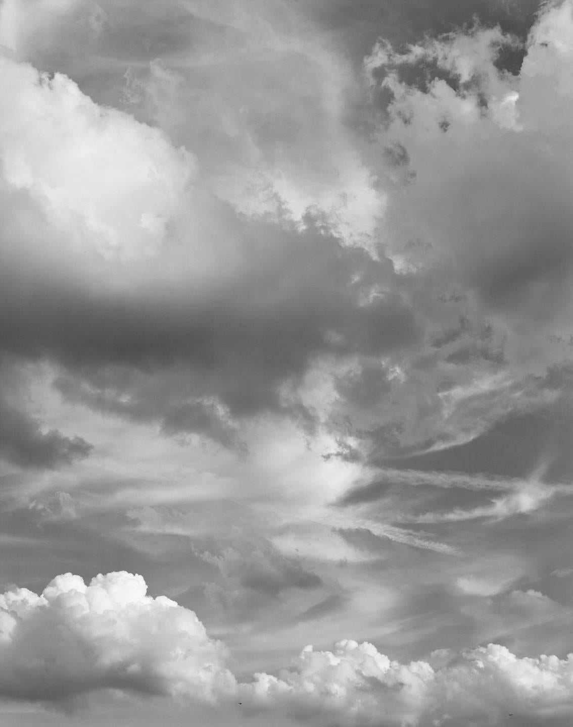 Central Park, New York II, 2014 (Grau), Black and White Photograph, von Mitch Epstein