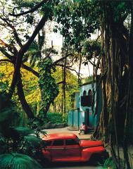 Rosa en Tropical, from the series Cuba