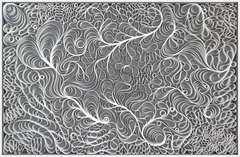 Coral Reef
