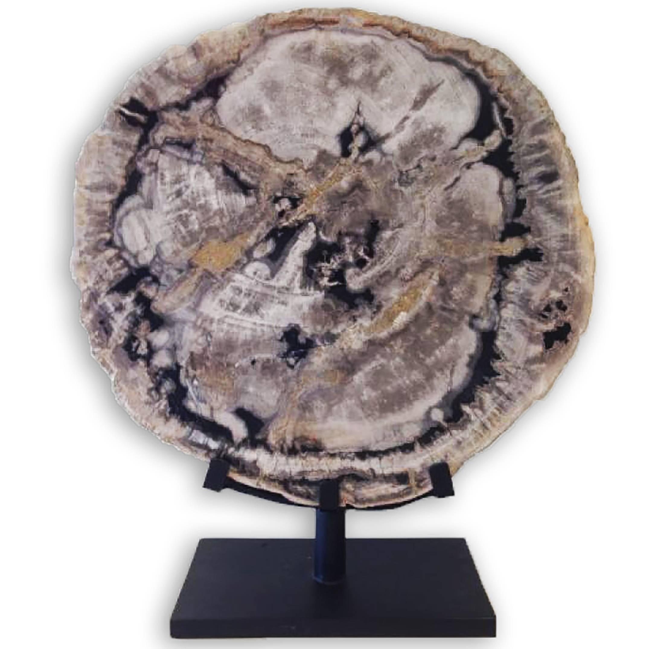PETRIFIED WOOD ON STAND - Art by Unknown