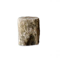 PETRIFIED WOOD TABLE 1