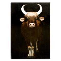 Kollabs - Porter Porter