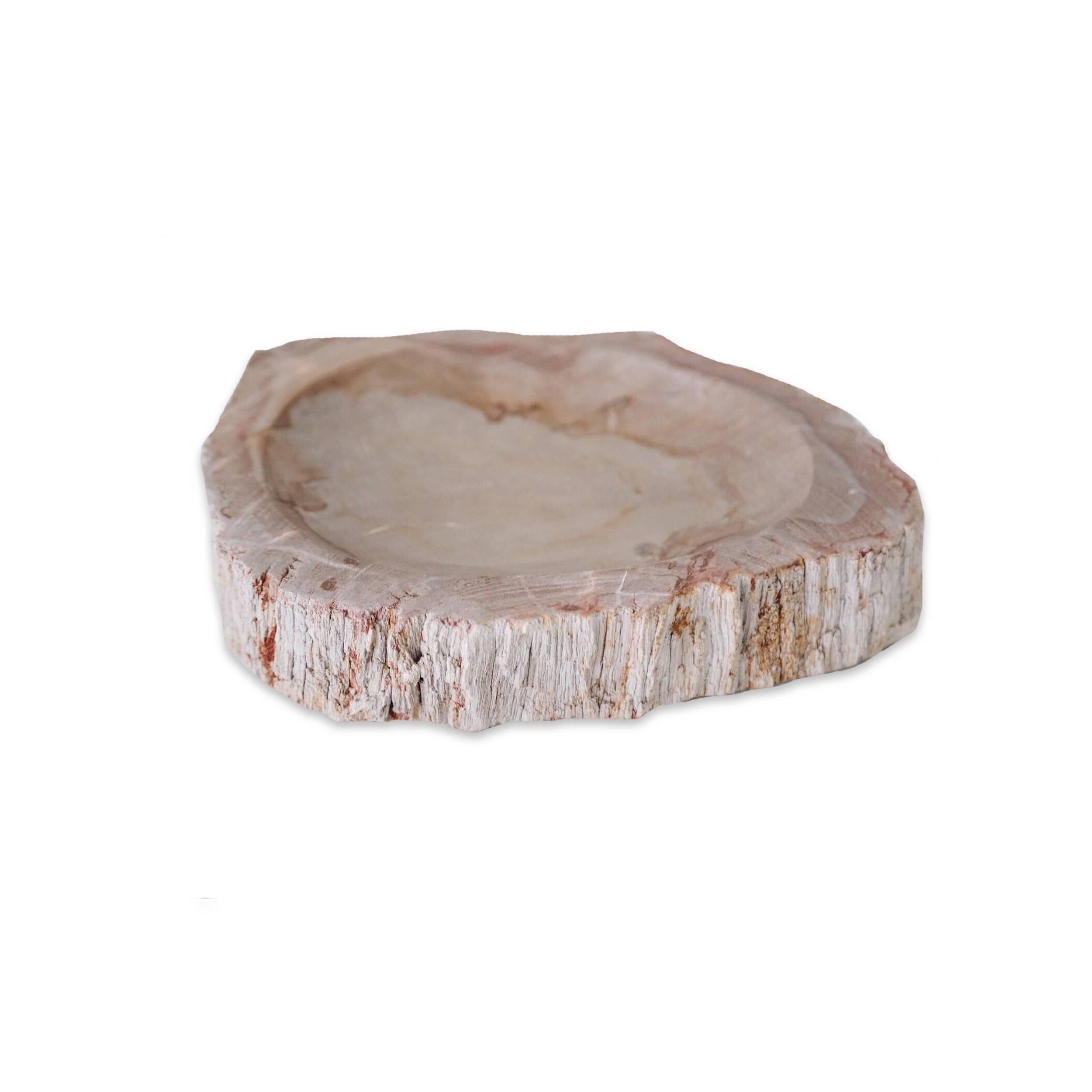 Petrified Wood Bowl - Art by Unknown