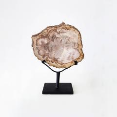 Petrified Wood Slab on Stand 9