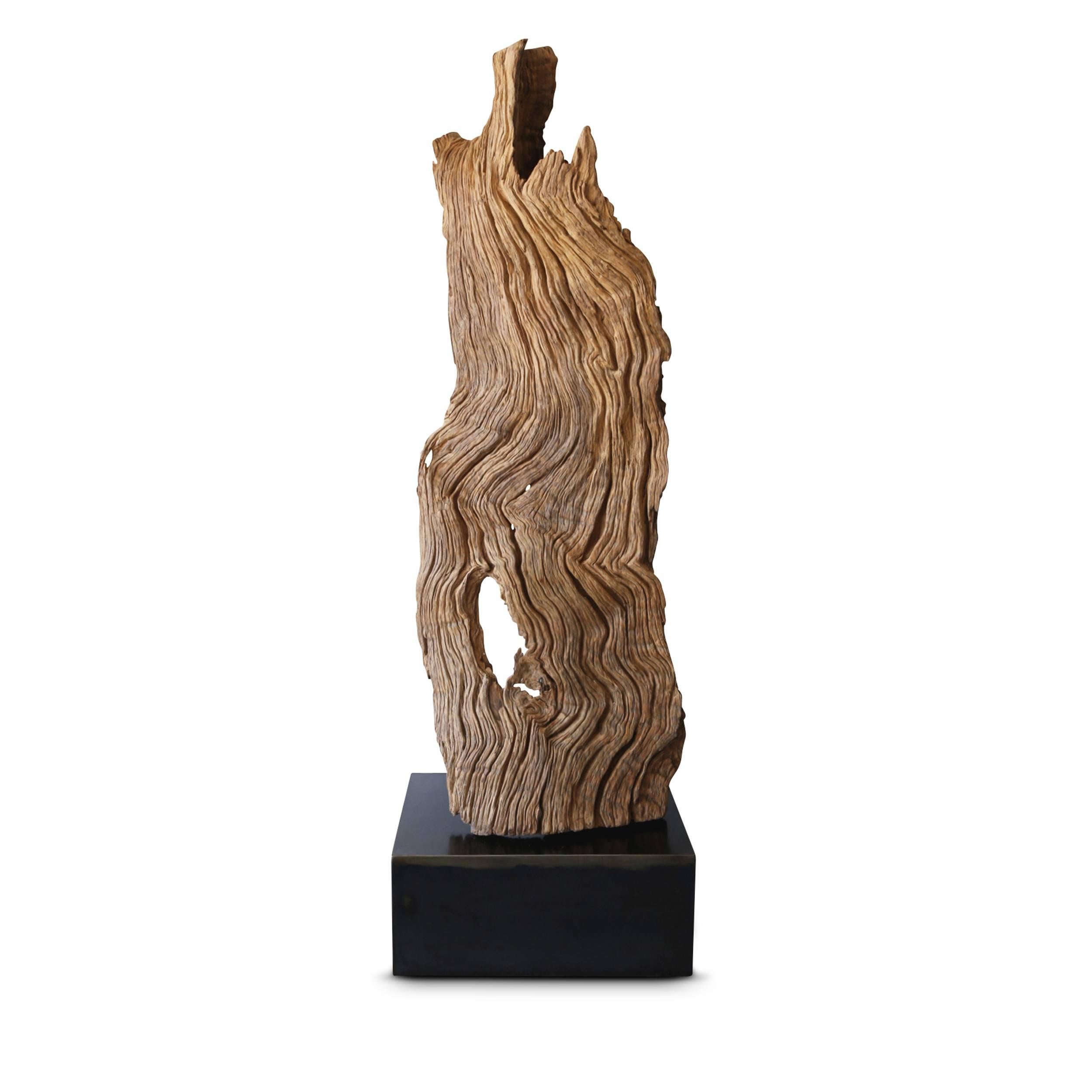 Natural Root Form on Stand - Art by Unknown