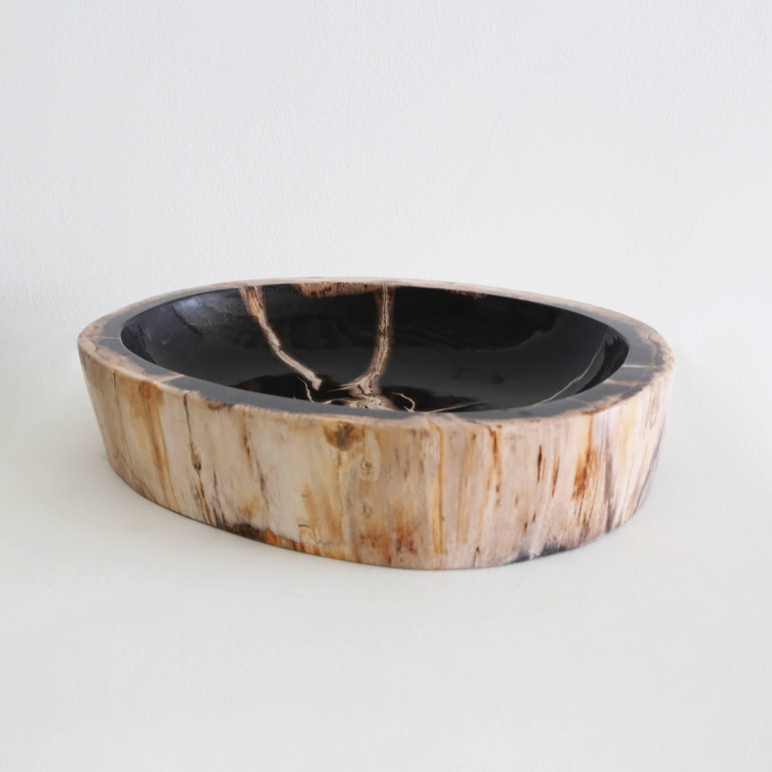 Petrified Wood Bowl - Contemporary Art by Unknown