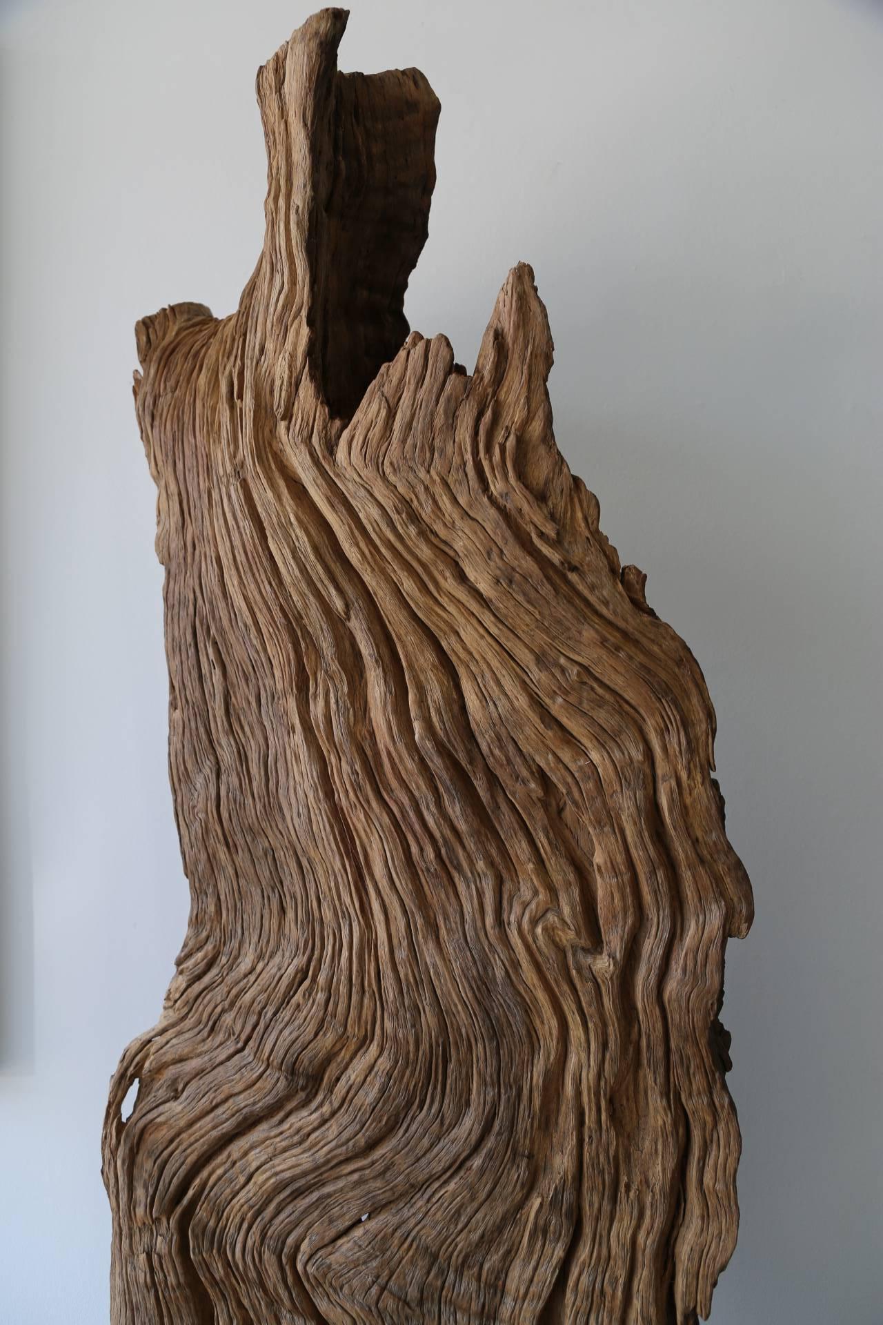 The Natural Root Form on Stand is a contemporary brown unique and natural piece of driftwood on an beautiful iron black stand that measures 75 x 24 and is priced at $6,800. 

Exhibit by Aberson has been searching for and acquiring objects from