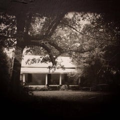 While You Were Sleeping No. 6 My Heart In A Hollow