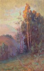 Antique Eucalyptus Grove at Sunset with Mountains in the Distance