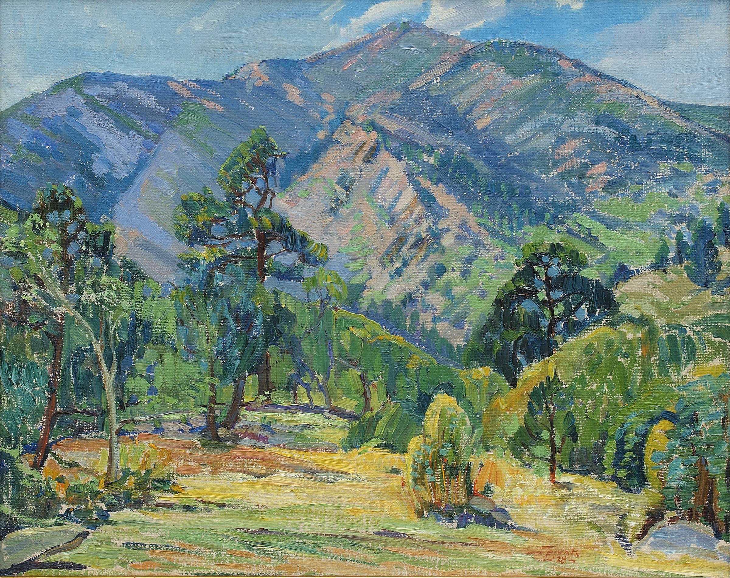 Colorado Mountain - Painting by David Spivak