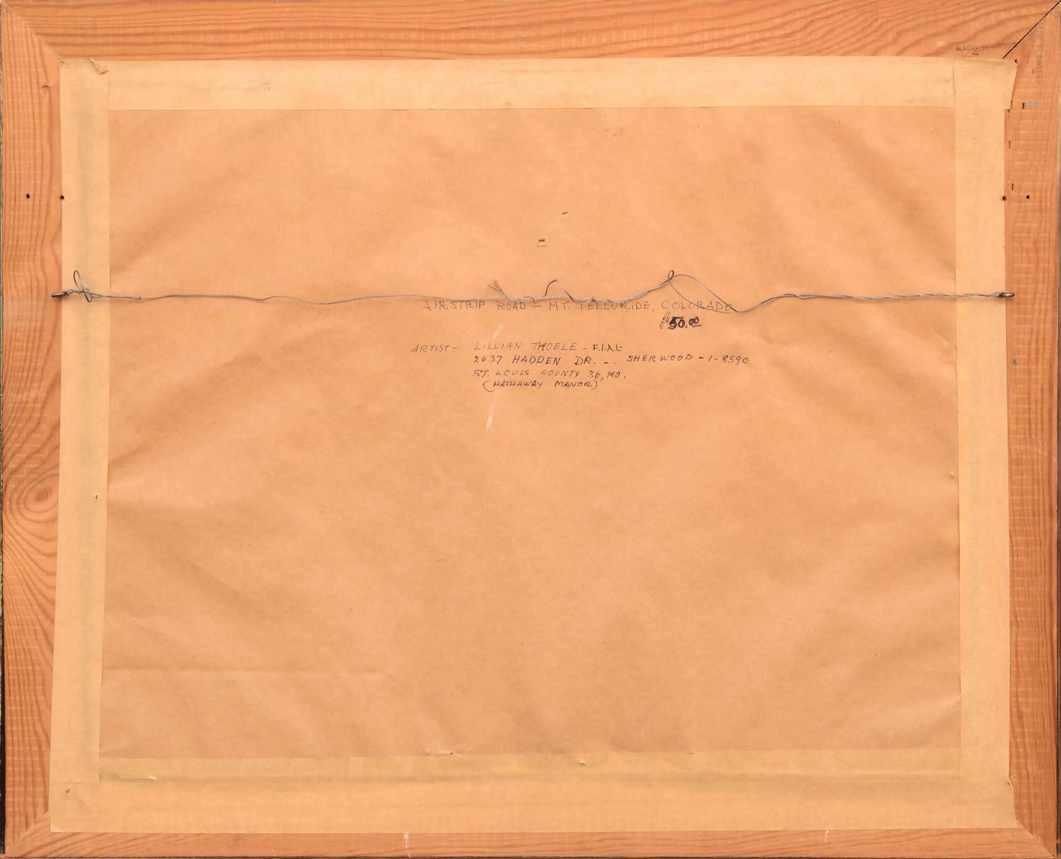 Lillian Thoele Airstrip Road Mt. Telluride, Colorado For Sale at