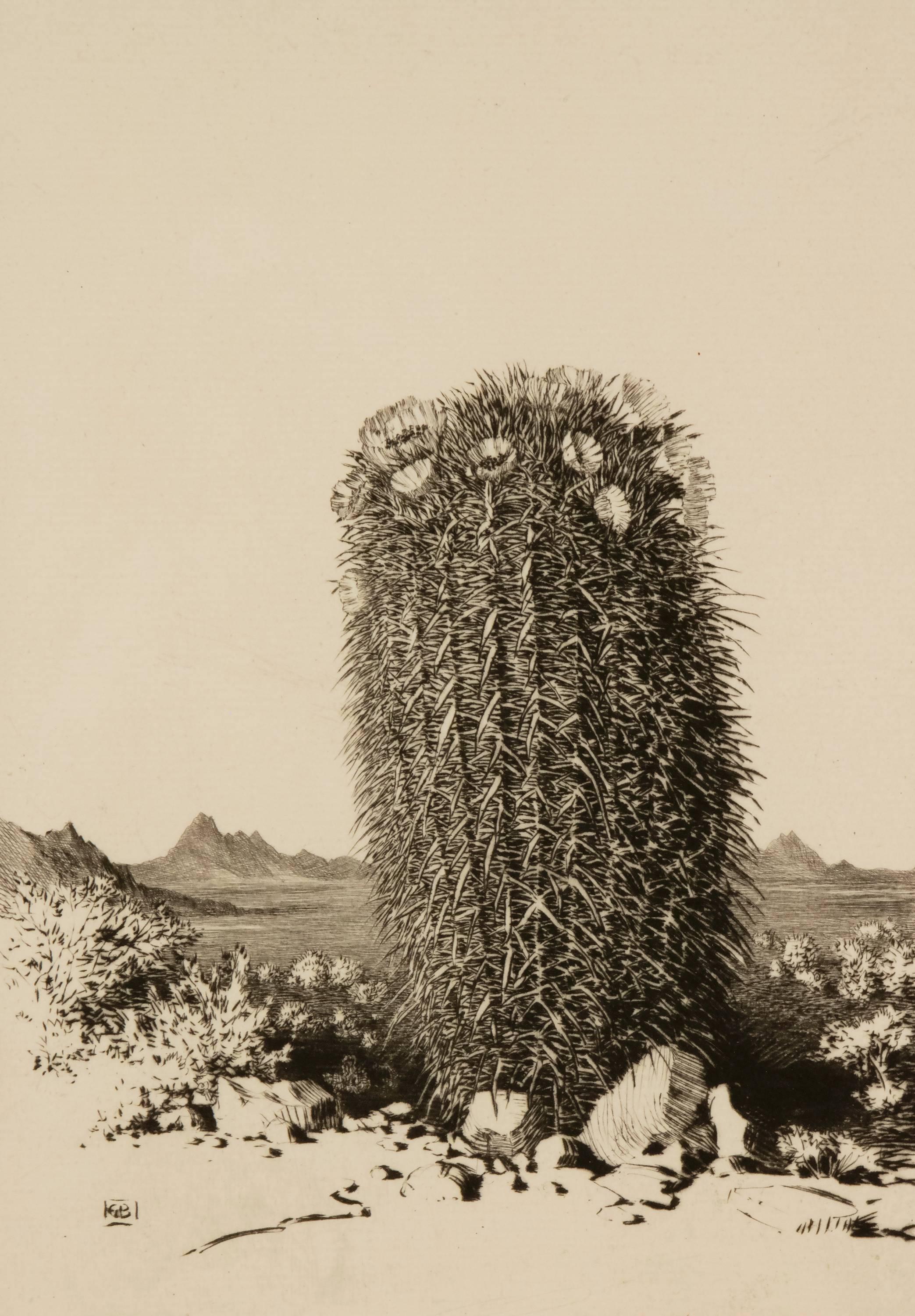 George Elbert Burr Landscape Print - Barrel Cactus, Arizona; edition of 40