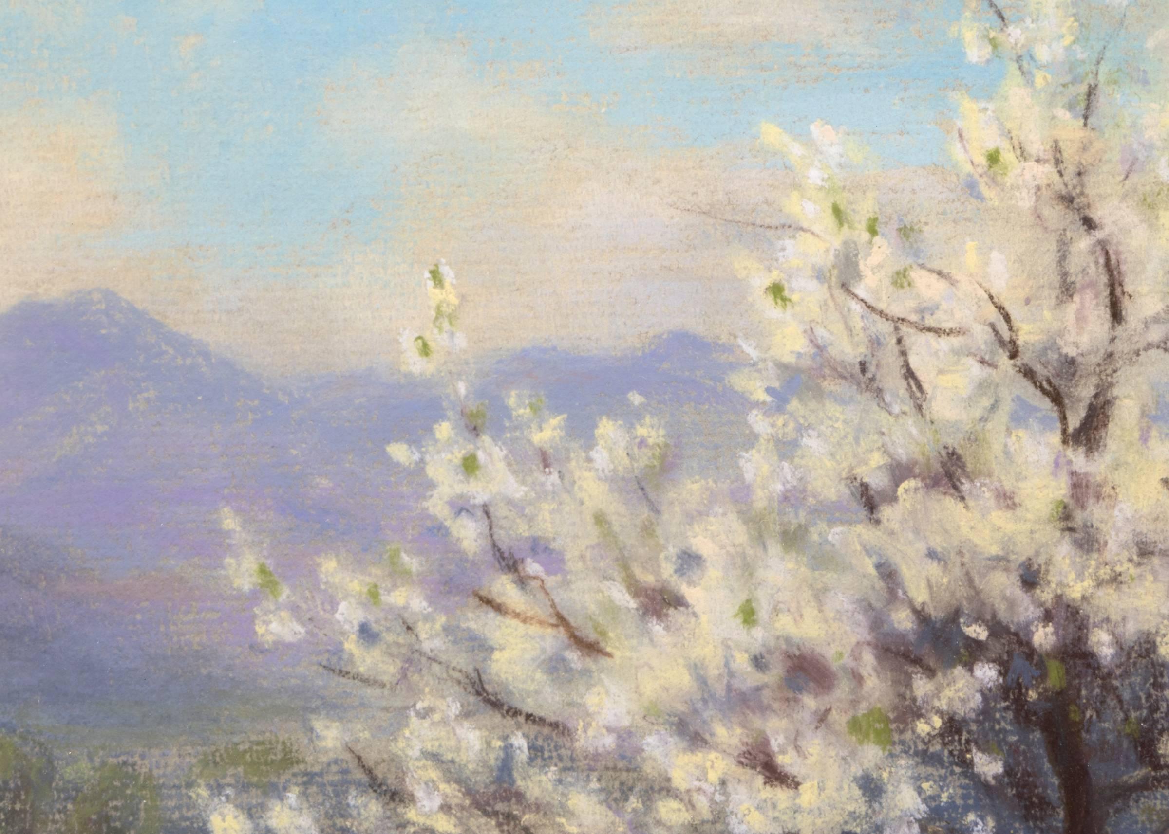 Plum Blossom, Shadow Valley Gardens (Springtime in Colorado) - American Impressionist Painting by Elsie Haddon Haynes