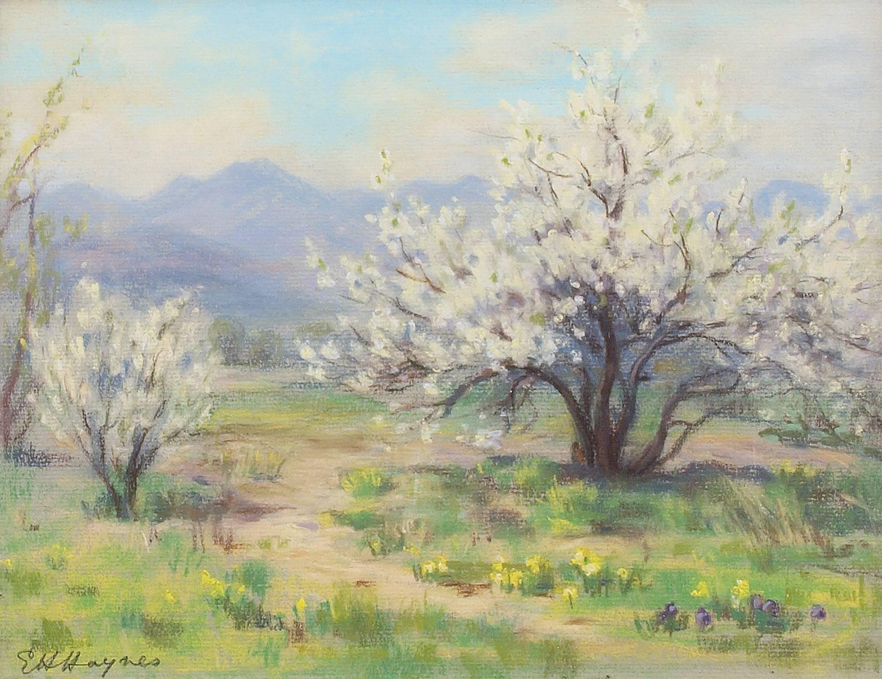 Plum Blossom, Shadow Valley Gardens (Springtime in Colorado) - Painting by Elsie Haddon Haynes