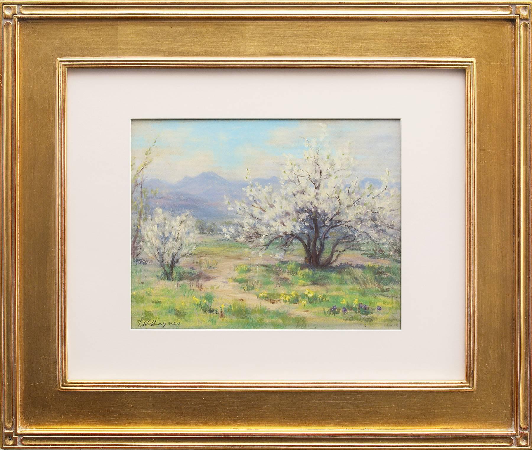 Elsie Haddon Haynes Figurative Painting - Plum Blossom, Shadow Valley Gardens (Springtime in Colorado)