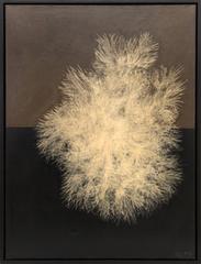Sea Plant 2