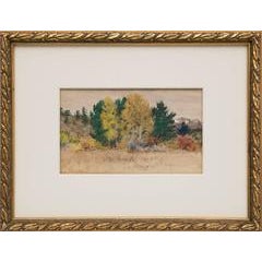 Untitled (Trees in Autumn, Colorado) 1