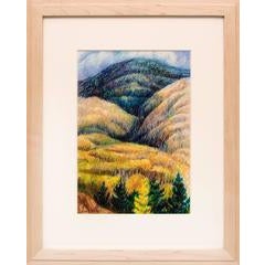 Aspen - Santa Fe Mountains 5