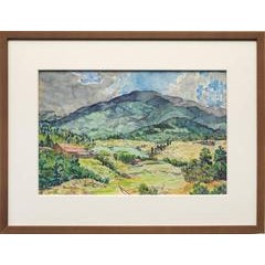 Untitled (Mountain Ranch, Colorado) 8