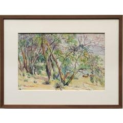Untitled (Trees Near a Colorado Ranch) 9