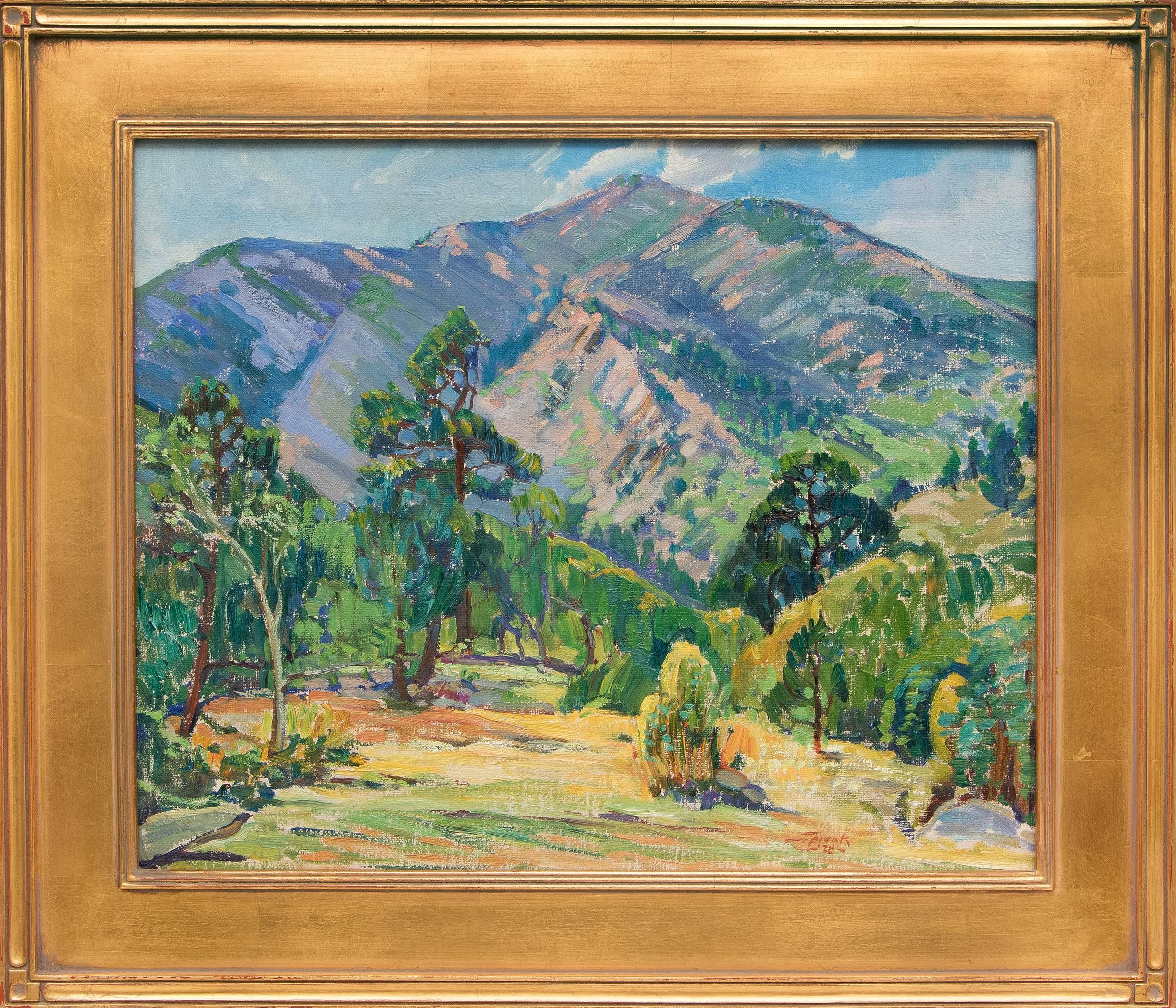 David Spivak Landscape Painting - Colorado Mountain