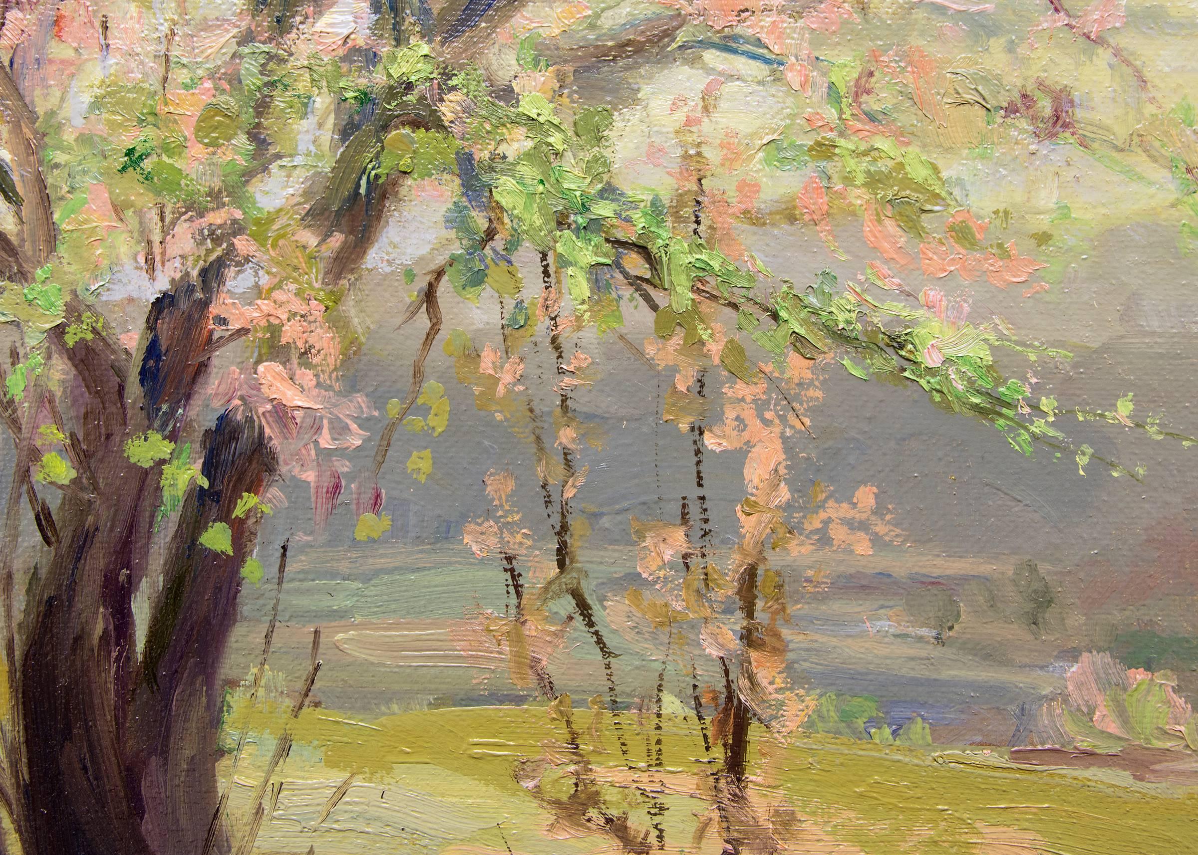raphael lillywhite