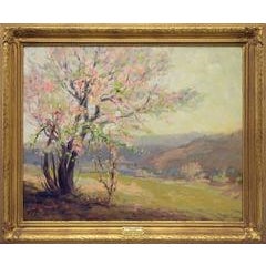Apple Blossom Tree 9