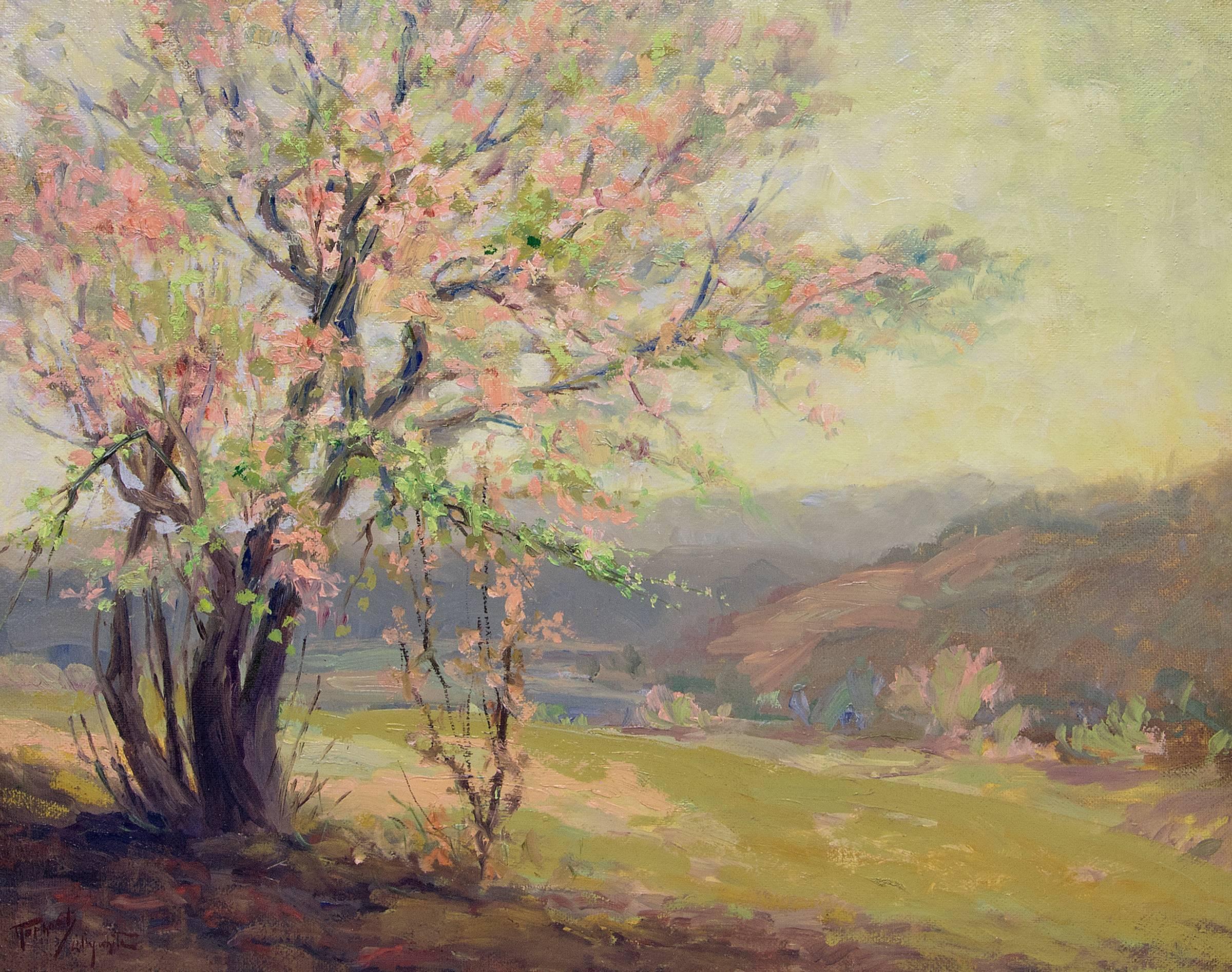 Apple Blossom Tree - Painting by Raphael Lillywhite